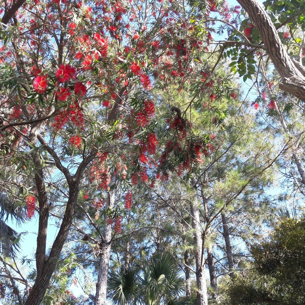 Meet your Posher, Erkan